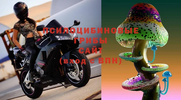 СК Беломорск