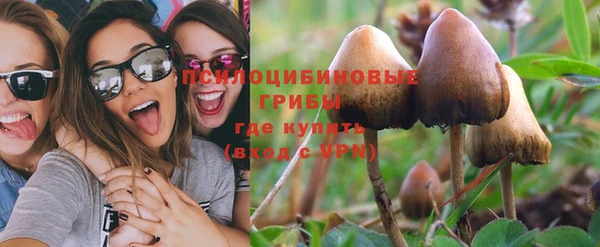 синтетический гашиш Няндома